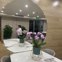 -酉嘉瑜伽YO+YOGA