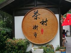 -天目湖山水园