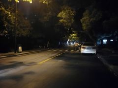 -古荡新村东区