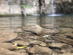 -鹿院坪生态旅游景区