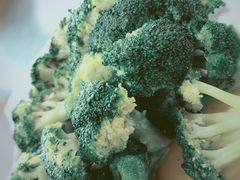 -鲤鱼塘农家山庄