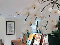 -五峰书院(南洋泾路店)