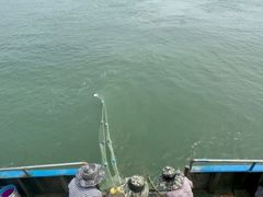 -渡海小渔村.老辈日照菜