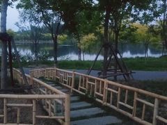 -东郊湿地公园