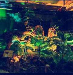 -恐龙探索乐园(磁器口店)