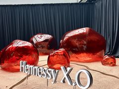 -精绝七日-新疆尼雅遗址数字大展【拉法耶文化艺术中心】