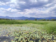 -野鸭湖国家湿地公园