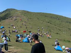 -大姆山草场