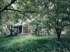 -杭州植物园