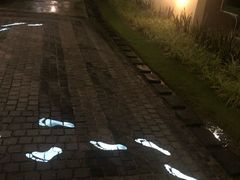 -富国岛翡翠湾 JW 万豪度假酒店