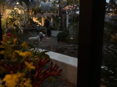 -自由生长植物工作室(深港花卉中心店)