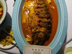 -阿五黄河大鲤鱼(纬三路店)