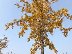 -白鹭湾湿地公园