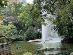 -九龙公园