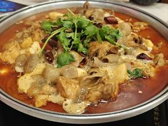 -彭记铁锅肥肠(东四总店)