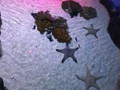 -暹罗海洋世界