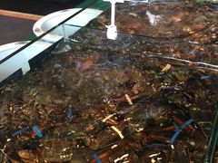 -海景壹号大酒店(惠钱路店)