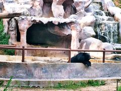 -清迈夜间动物园