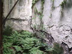 -书隐楼