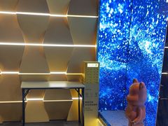 -臻享足道·HIFI影院足疗SPA(成华店)