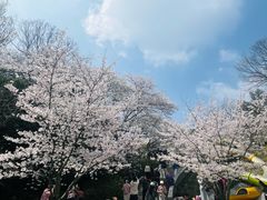 -杭州少年儿童公园
