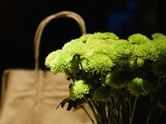 -VOYAGE COFFEE(北锣鼓巷店)