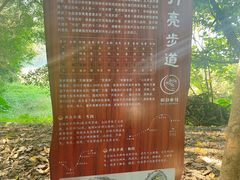 -华侨城湿地公园