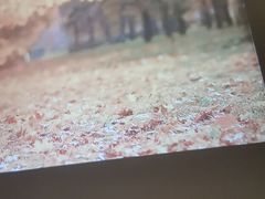-沐森 •疗愈头疗馆(打浦桥店)