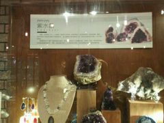 -Behring World of Animals(上海自然博物馆店)
