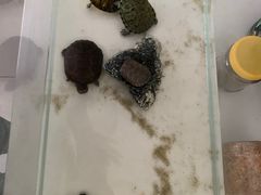 -平行世界·猫咖(首经贸店)