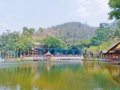 -西双版纳原始森林公园