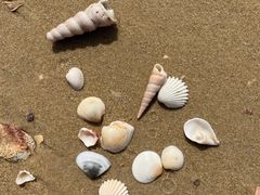 -巧克力渔家.小船海鲜家常菜(万平口店)