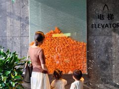 -苏州阳澄半岛英迪格酒店