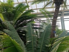 -国家植物园南园