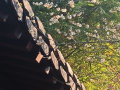-钱王祠