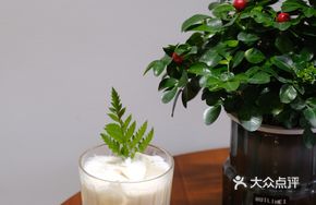 Sea Salt Jasmine Iced Coffee