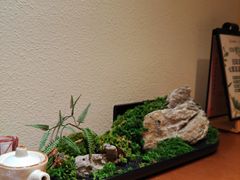 -水之惠鲜鱼料理(王府大街店)