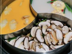 -青瓷火锅料理(西单大悦城店)