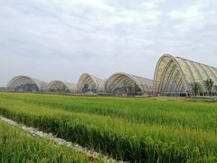 -中国天府农业博览园