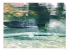 -福州罗源湾海洋世界旅游区