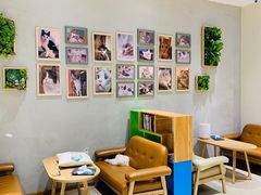 -藏猫猫咖啡主题馆(中央大道店)