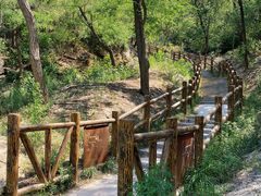 -白水寺森林公园