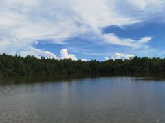 -大湾区中央湿地公园