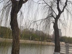 -后襄河公园