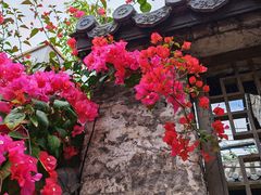 -三溪村