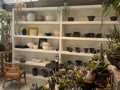 -自由生长植物工作室(深港花卉中心店)