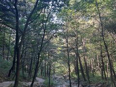 -赞皇棋盘山-停车场