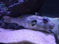 -南京海底世界