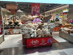-鹏欣水游城