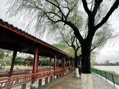 -金银湖国家城市湿地公园